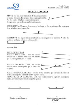 RECTAS Y ÁNGULOS TIPOS DE RECTAS