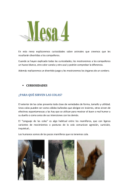 mesa 4 - WordPress.com