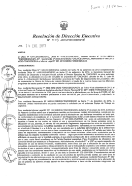 Resolución de Dirección Ejecutiva