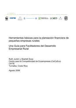 Herramientas básicas para la planeación financiera de pequeñas