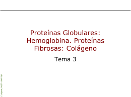 04.proteinas globulares funciones