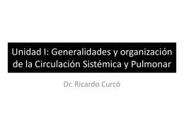 Generalidades y organización de la Circulación Sistémica y Pulmonar