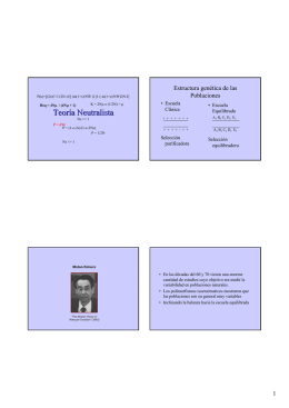 Árboles de genes. Coalescencia