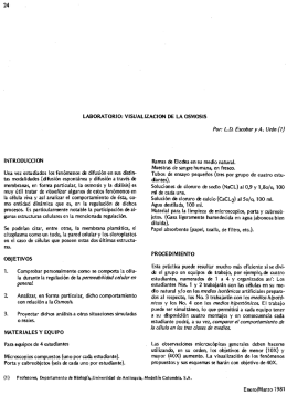 LABORATORIO: VISUALIZ`ACION DE LA OSMOSIS INTRODU CCION