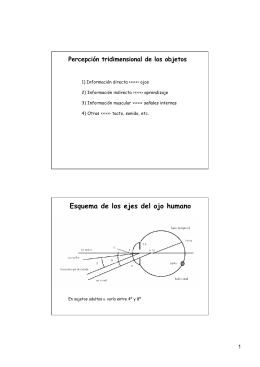 Esquema de los ejes del ojo humano