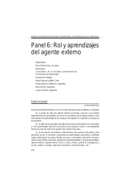 Panel 6: Rol y aprendizajes del agente externo