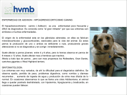 Sindrome Addison - hipoadrenocorticismo en el perro.