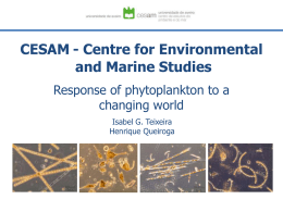 CESAM - Centre for Environmental and Marine Studies