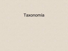 Taxonomía