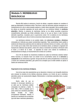 Módulo 5. MEMBRANAS BIOLÓGICAS