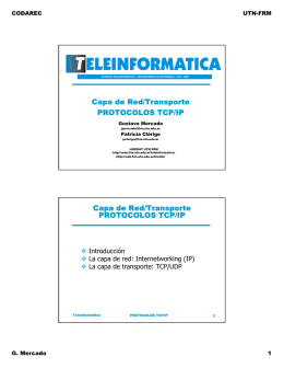 Capa de Red/Transporte PROTOCOLOS TCP/IP Capa de