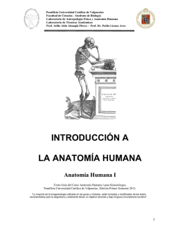 INTRODUCCIÓN A LA ANATOMÍA HUMANA Anatomía Humana I