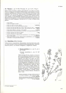 Flora vascular de Andalucía occidental, 2