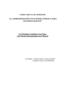 principios contables - Tecnología para la Organización Pública