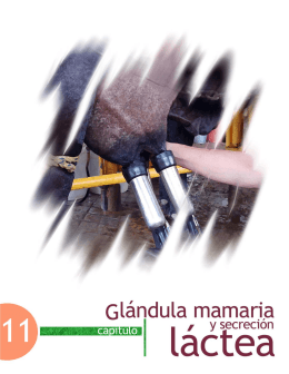 Glándula mamaria y secreción láctea - FMVZ-UNAM