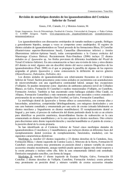 Revisión de morfotipos dentales de los