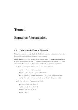 Tema 1 Espacios Vectoriales.