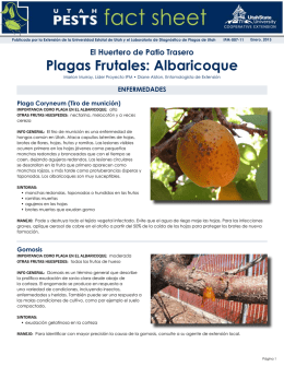 Plagas frutales: Albaricoque