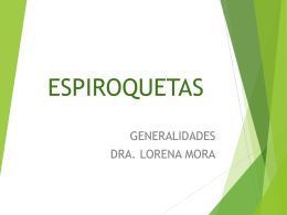 espiroquetas - 1er Simposio de Espiroquetas, México 2014