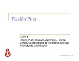 Clase 8 - Flexion Pura V250505