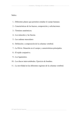 Anatomía y fisiología de la columna vertebral