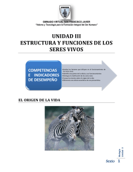 UNIDAD III ESTRUCTURA Y FUNCIONES DE LOS SERES VIVOS