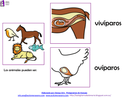 animales 1º primaria - Asociación Navarra de Autismo