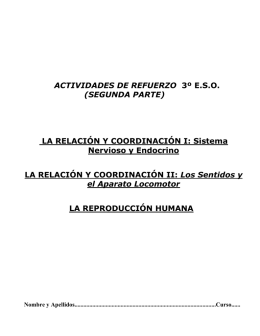 3º ESO Actividades pendientes de 2º PARTE