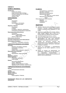 IES RIBERA DE CASTILLA