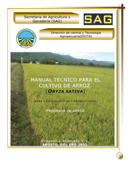 MANUAL TÉCNICO PARA EL CULTIVO DE ARROZ. )