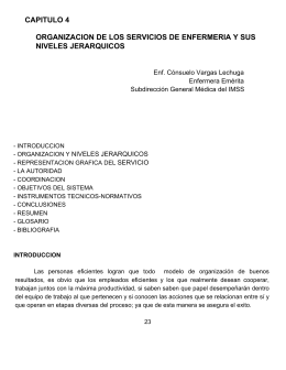 capitulo 4 organizacion de los servicios de enfermeria y sus niveles