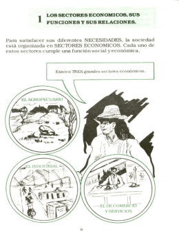 sectores economicos