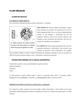 II LAS CÉLULAS