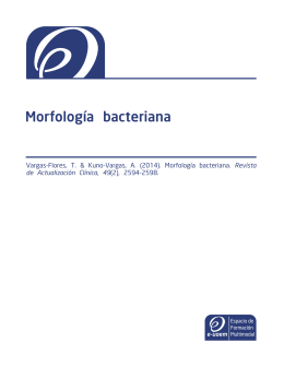 Morfología bacteriana