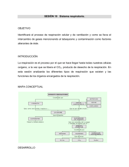 SESIÓN 10 Sistema respiratorio. OBJETIVO Identificará el proceso