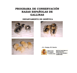 programa de conservación razas españolas de gallinas