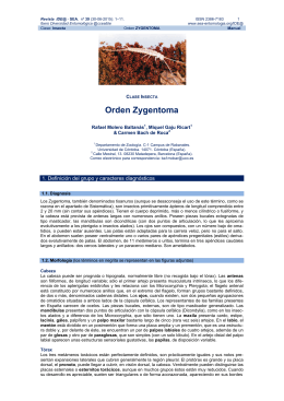 Orden Zygentoma - Sociedad Entomológica Aragonesa
