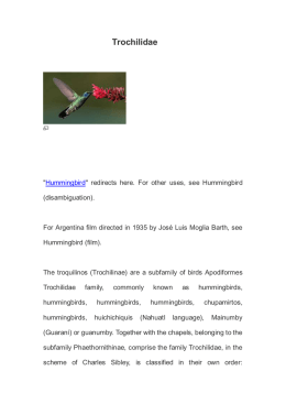 Trochilidae