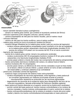 mesencéfalo - Anatomia y Embriologia