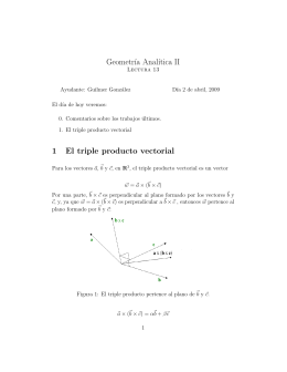 Geometr´ıa Anal´ıtica II 1 El triple producto vectorial