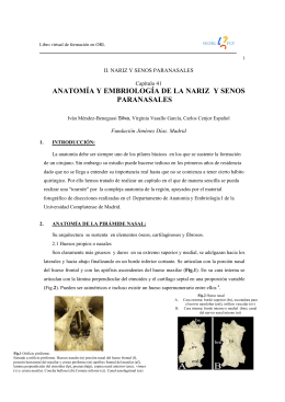 ANATOMÍA Y EMBRIOLOGÍA DE LA NARIZ Y SENOS