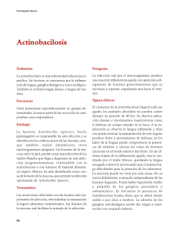 Actinobacilosis - FMVZ-UNAM