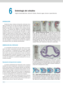 •006-embriologia del cristalino.qxd