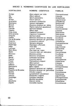 ANEXO 3. NOMBRES CIENTIFICOS DE LAS HORTALIZAS