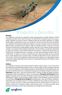 Mosquitos y Zancudos