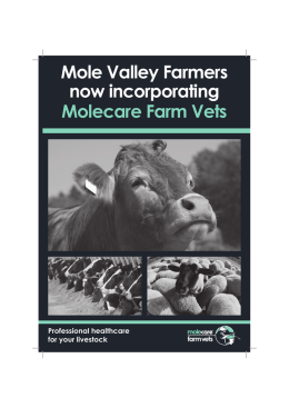 Mole Valley Farmers now incorporating Molecare Farm Vets