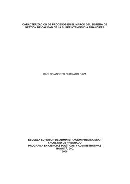 caracterizacion de procesos en el marco del sistema de