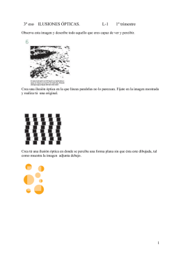 3º eso ILUSIONES ÓPTICAS. L-1 1º trimestre