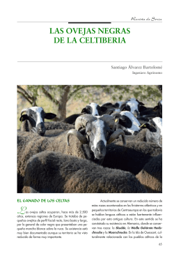 las ovejas negras de la Celtiberia