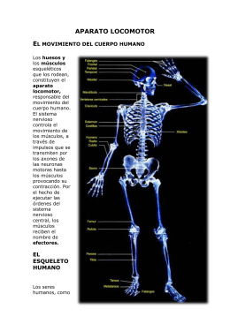 aparato locomotor
